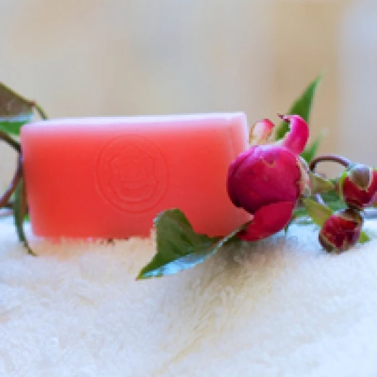 Milo P.E.C.A. - vrtnica - 4 kom