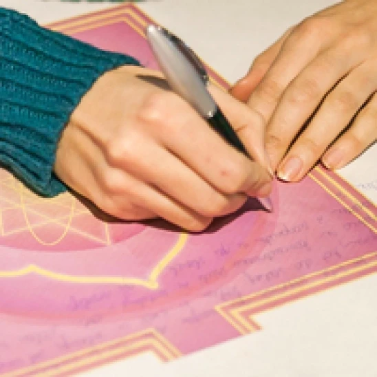 Rekapitulacijski lističi P.E.C.A. - 10 kom