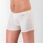 Men&rsquo;s P.E.C.A. Boxer briefs - bamboo - 2 pcs
