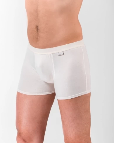 Men&rsquo;s P.E.C.A. Boxer briefs - bamboo - 2 pcs